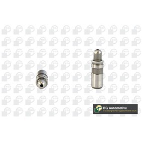 Comprar Válvula de escape de BGA V998899 a bajo precio de 9,20 €