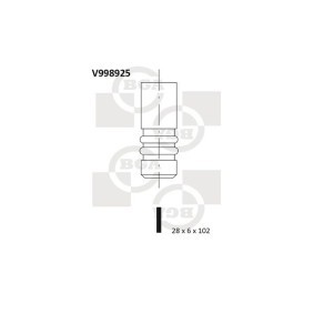 Auslaßventil V998925