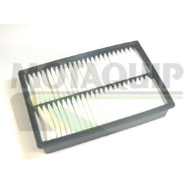 Köp Luftfilter av MOTAQUIP VFA1131 till det låga priset 226,39 kr