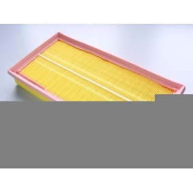 Köp Luftfilter av MOTAQUIP VFA831 till det låga priset 193,66 kr