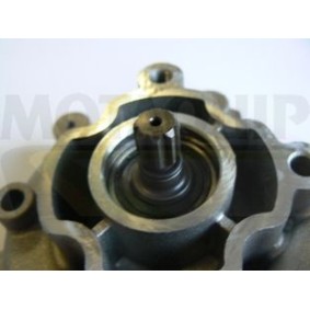 Achetez des Pompe à eau MOTAQUIP VWP795 à prix pour 61,72 €