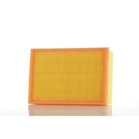 Köp Luftfilter av PZL Filters WA50232 till det låga priset 221,37 kr