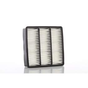 Kjøp Luftfilter av PZL Filters WA53310 til den lave prisen 212,85 NOK