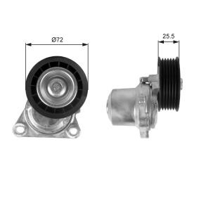 Compre Rolo tensor, correia trapezoidal estriada de GATES online para MPV III (LY) a preços moderados