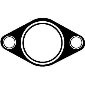 Ansaugkrümmerdichtung X55893-01