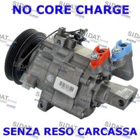 Acquista Compressore aria condizionata da SIDAT 1.2169R a buon mercato per soli 471,52 €