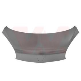 Motorhaube 0910660
