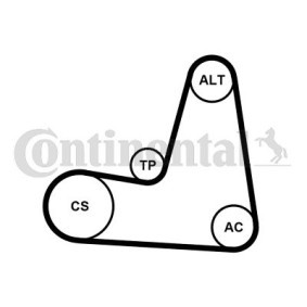 Acquista Kit Cinghie Poly-V da CONTITECH 6PK1130K2 a buon mercato per soli 88,80 €