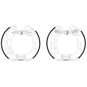 Achetez des Kit de freins, freins à tambours TEXTAR 84081700 à prix pour 326,17 €