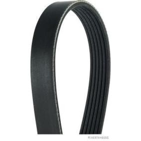 Acquista Cinghia servizi da HERTH+BUSS JAKOPARTS J1061220 a buon mercato per soli 14,04 €