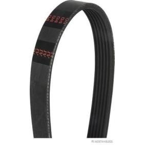 Achetez des Courroie Poly-V HERTH+BUSS JAKOPARTS J1061685 à prix pour 24,04 €
