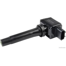 Comprar Unidad de bobina de encendido de HERTH+BUSS JAKOPARTS J5373008 a bajo precio de 55,71 €