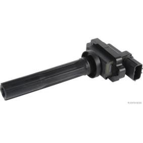 Comprar Unidad de bobina de encendido de HERTH+BUSS JAKOPARTS J5378003 a bajo precio de 74,12 €