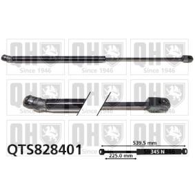 Heckklappendämpfer QTS828401