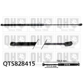 Motorhaubendämpfer QTS828415