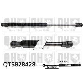 Gasfeder, Heckscheibe QTS828428
