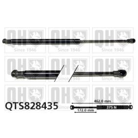 Heckklappendämpfer QTS828435