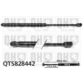 Gasfeder, Heckscheibe QTS828442