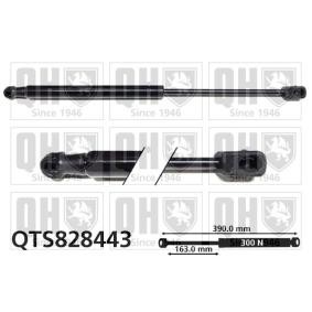 Motorhaubendämpfer QTS828443