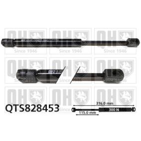 Heckklappendämpfer QTS828453