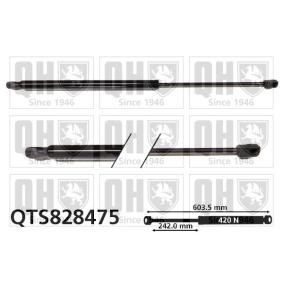 Heckklappendämpfer QTS828475