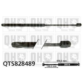 Motorhaubendämpfer QTS828489