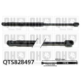 Motorhaubendämpfer QTS828497