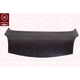 Motorhaube 1635280