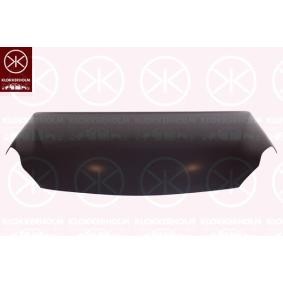 Motorhaube 5019280