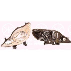 Kühlergrill 5098991