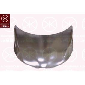 Motorhaube 6017280