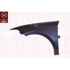 Kotflügel 6614311A1