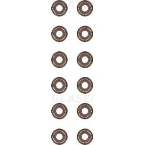 Köp Packningssats, ventiler av GLASER N96019-00 till det låga priset 312,24 kr
