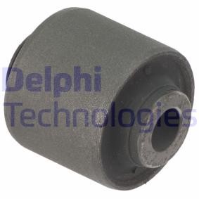 Lagerung, Lenker von DELPHI