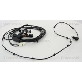 Acquista Sensore ABS da TRISCAN 8180 23123 a buon mercato per soli 400,01 €