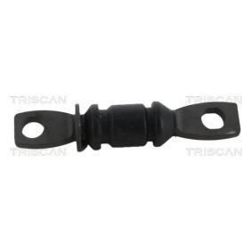 Acquista Supporto braccio oscillante da TRISCAN 8500 13850 a buon mercato per soli 22,04 €