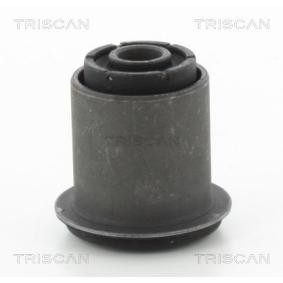 Lagerung, Lenker von TRISCAN