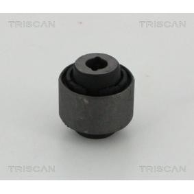 Lagerung, Lenker von TRISCAN