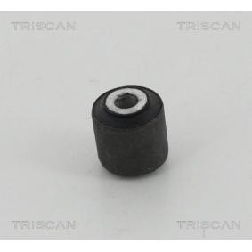Lagerung, Lenker von TRISCAN