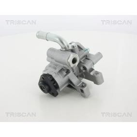 Servopumpe von TRISCAN
