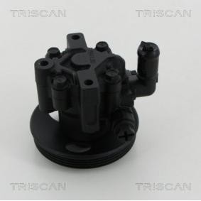 Servopumpe von TRISCAN