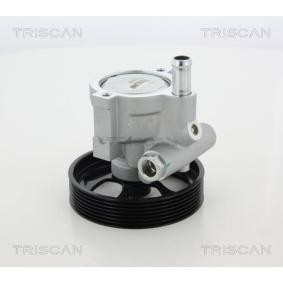 Servopumpe von TRISCAN