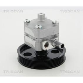 Servopumpe von TRISCAN