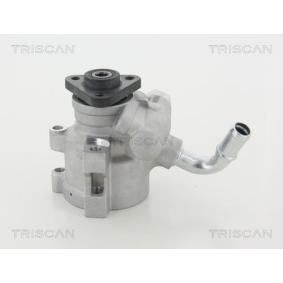 Servopumpe von TRISCAN