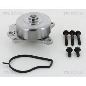 Achetez des Pompe à eau TRISCAN 8600 10022HD à prix pour 87,81 €