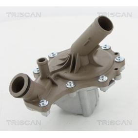 Wasserpumpe von TRISCAN