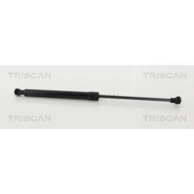 Motorhaubendämpfer für RENAULT von TRISCAN