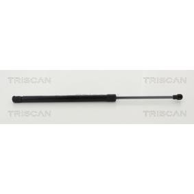 Heckklappendämpfer von TRISCAN