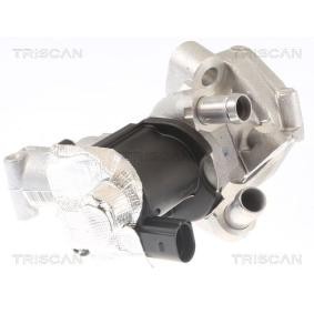 Comprar Válvula EGR de TRISCAN 8813 14006 a bajo precio de 449,81 €