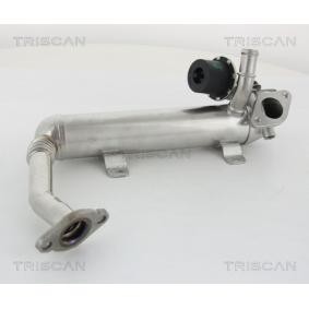 Compre Radiador EGR da TRISCAN 8813 29319 a um preço baixo por 284,23 €